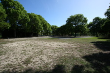 Enlarge photo 57