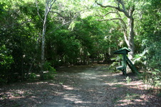 Enlarge photo 58