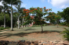 Enlarge photo 85