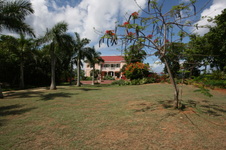 Enlarge photo 87