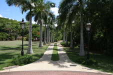 Enlarge photo 90