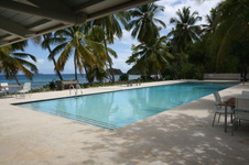 Enlarge photo 99