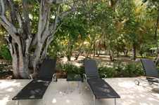 Enlarge photo 102