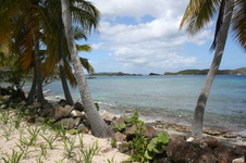 Enlarge photo 105
