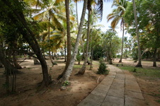 Enlarge photo 115