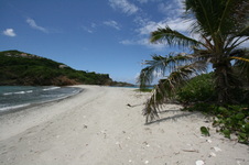 Enlarge photo 140