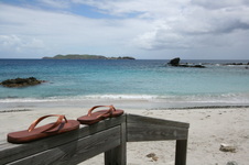 Enlarge photo 141
