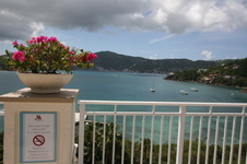 Enlarge photo 170