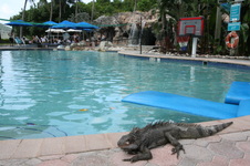 Enlarge photo 179