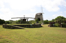 Enlarge photo 181