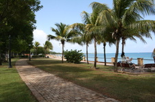 Enlarge photo 183
