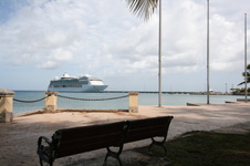 Enlarge photo 184