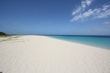 Enlarge photo 209