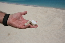 Enlarge photo 214