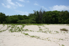 Enlarge photo 216