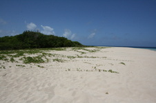 Enlarge photo 217
