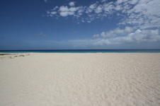 Enlarge photo 218