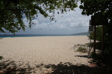 Enlarge photo 219