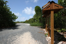 Enlarge photo 220