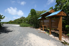 Enlarge photo 221