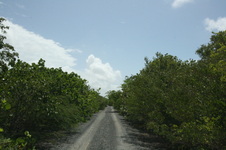 Enlarge photo 223