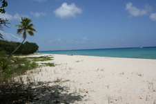 Enlarge photo 224