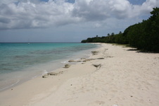 Enlarge photo 225