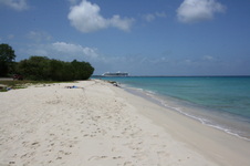 Enlarge photo 226