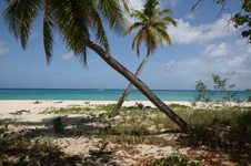 Enlarge photo 227