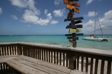 Enlarge photo 229