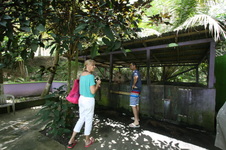 Enlarge photo 236