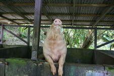 Enlarge photo 240