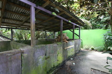 Enlarge photo 241