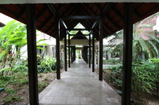 Enlarge photo 243