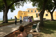 Enlarge photo 262