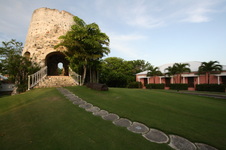 Enlarge photo 272