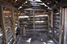 Enlarge photo 475