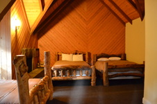 Enlarge photo 501