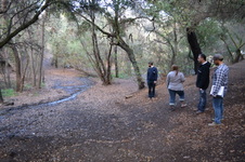 Enlarge photo 513