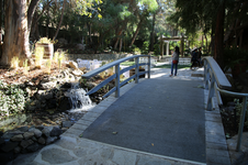 Enlarge photo 54