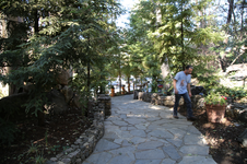 Enlarge photo 55