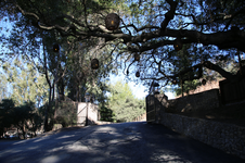 Enlarge photo 58