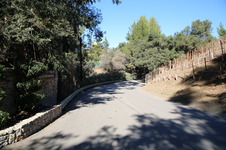 Enlarge photo 61