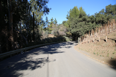 Enlarge photo 66