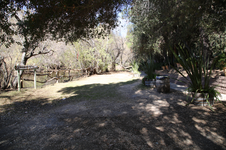 Enlarge photo 96