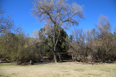 Enlarge photo 103
