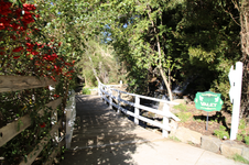 Enlarge photo 116