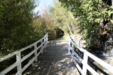 Enlarge photo 118