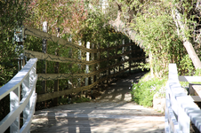 Enlarge photo 119