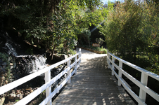 Enlarge photo 121